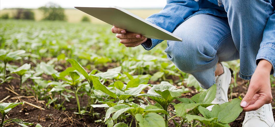 Hacex seguros generales