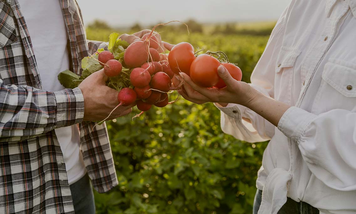 Hacex seguros generales